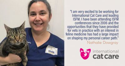 International Cat Care appoints new head of veterinary division